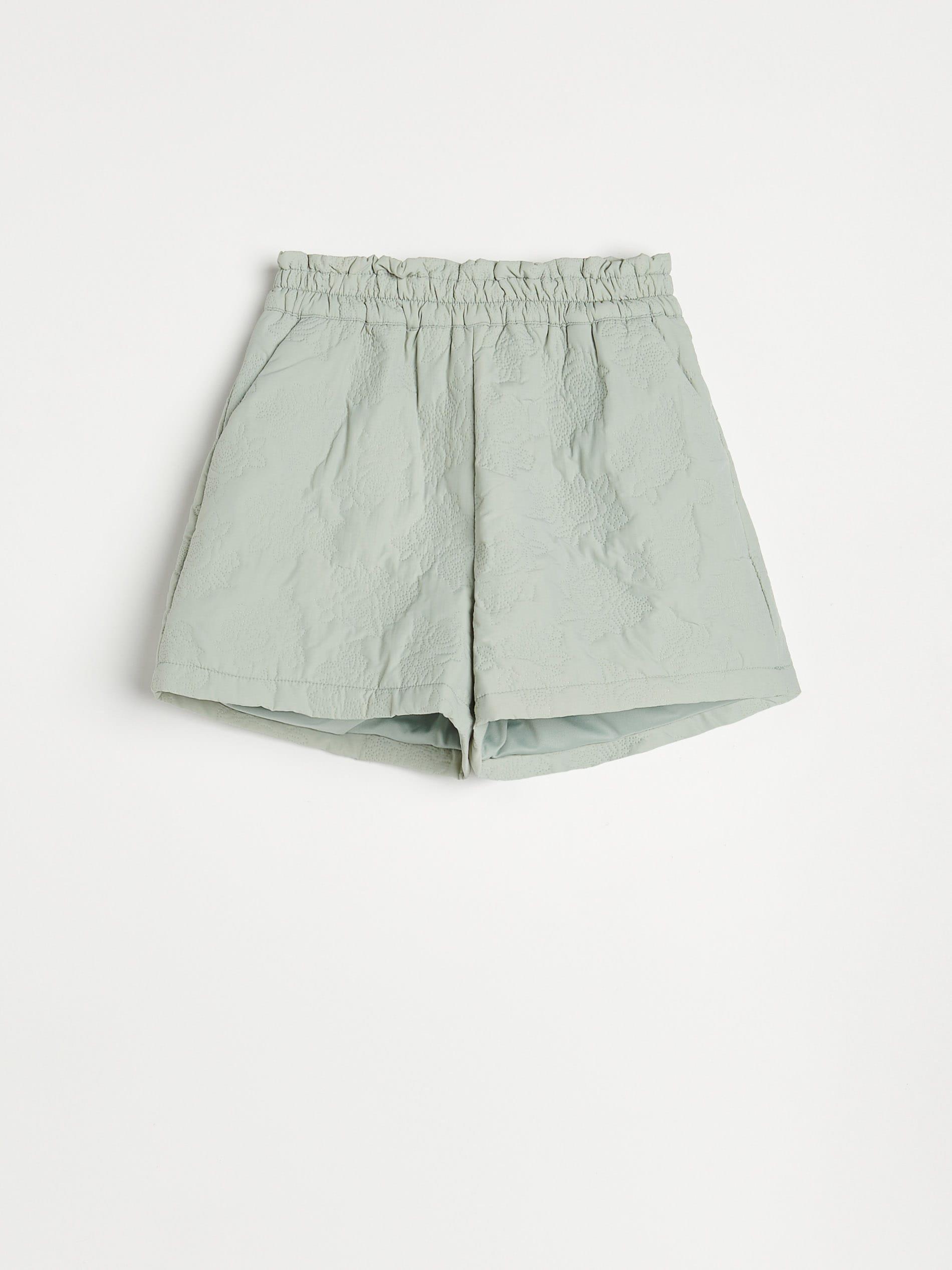 Green Decoratively Textured Shorts, Women, , large image number 6