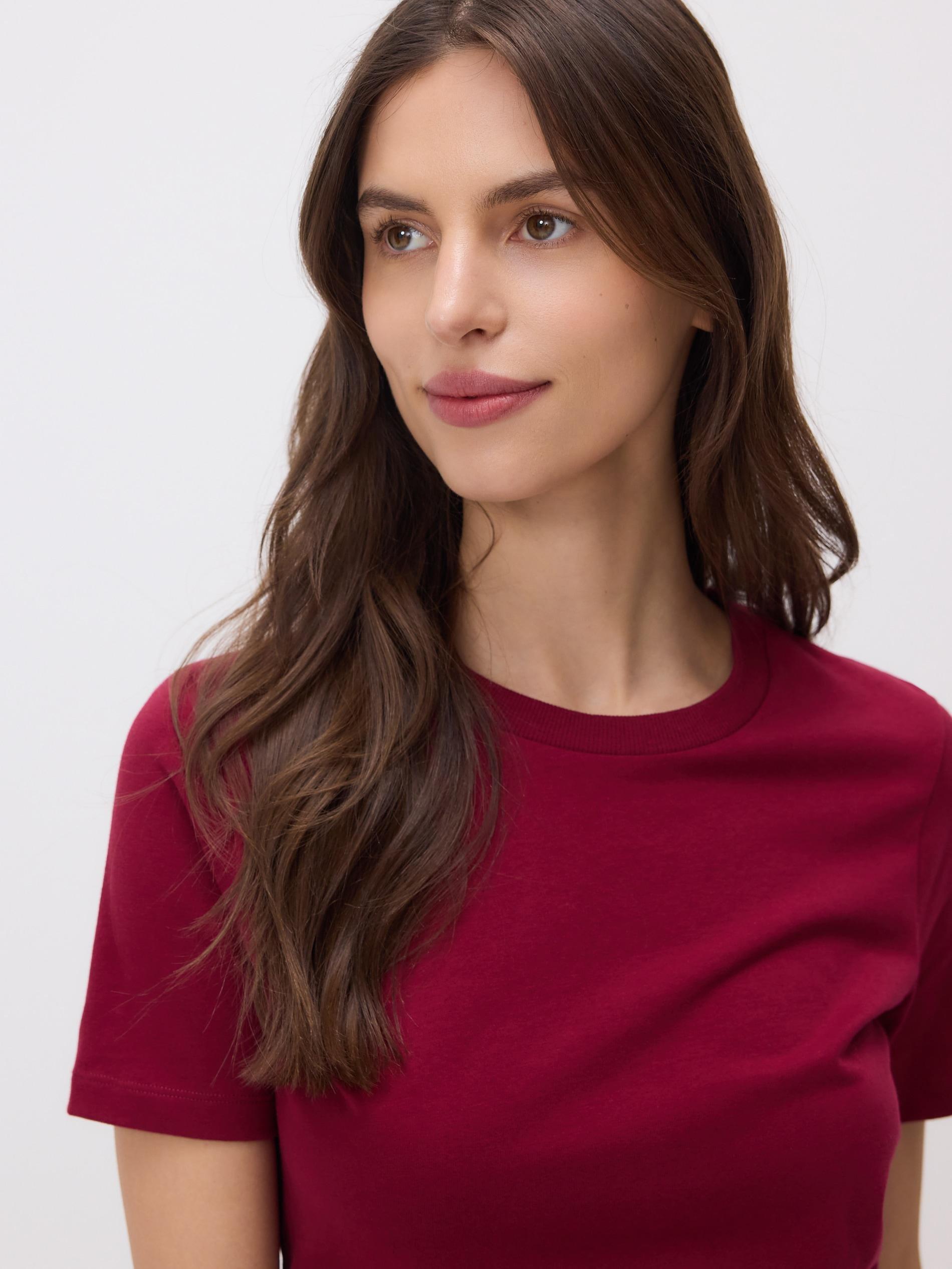 Maroon Regular Fit T-Shirt, Burgundy, medium