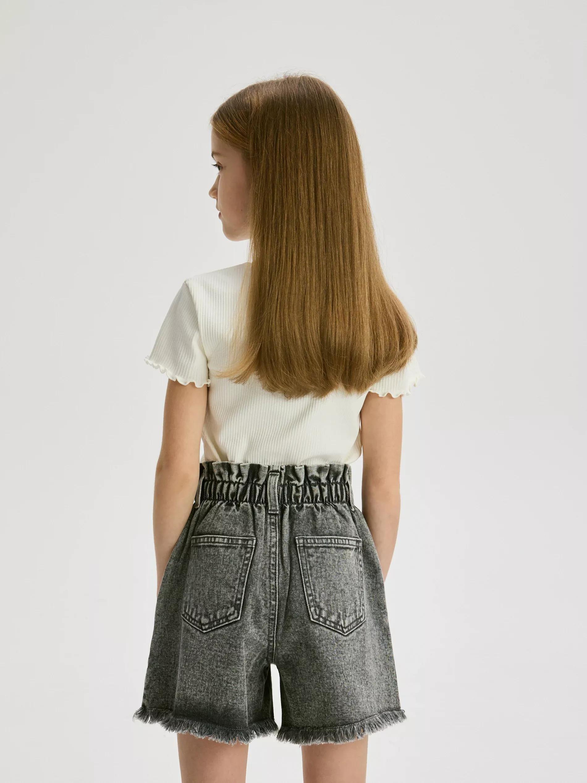 Grey Embroidered Denim Shorts, , large image number 3