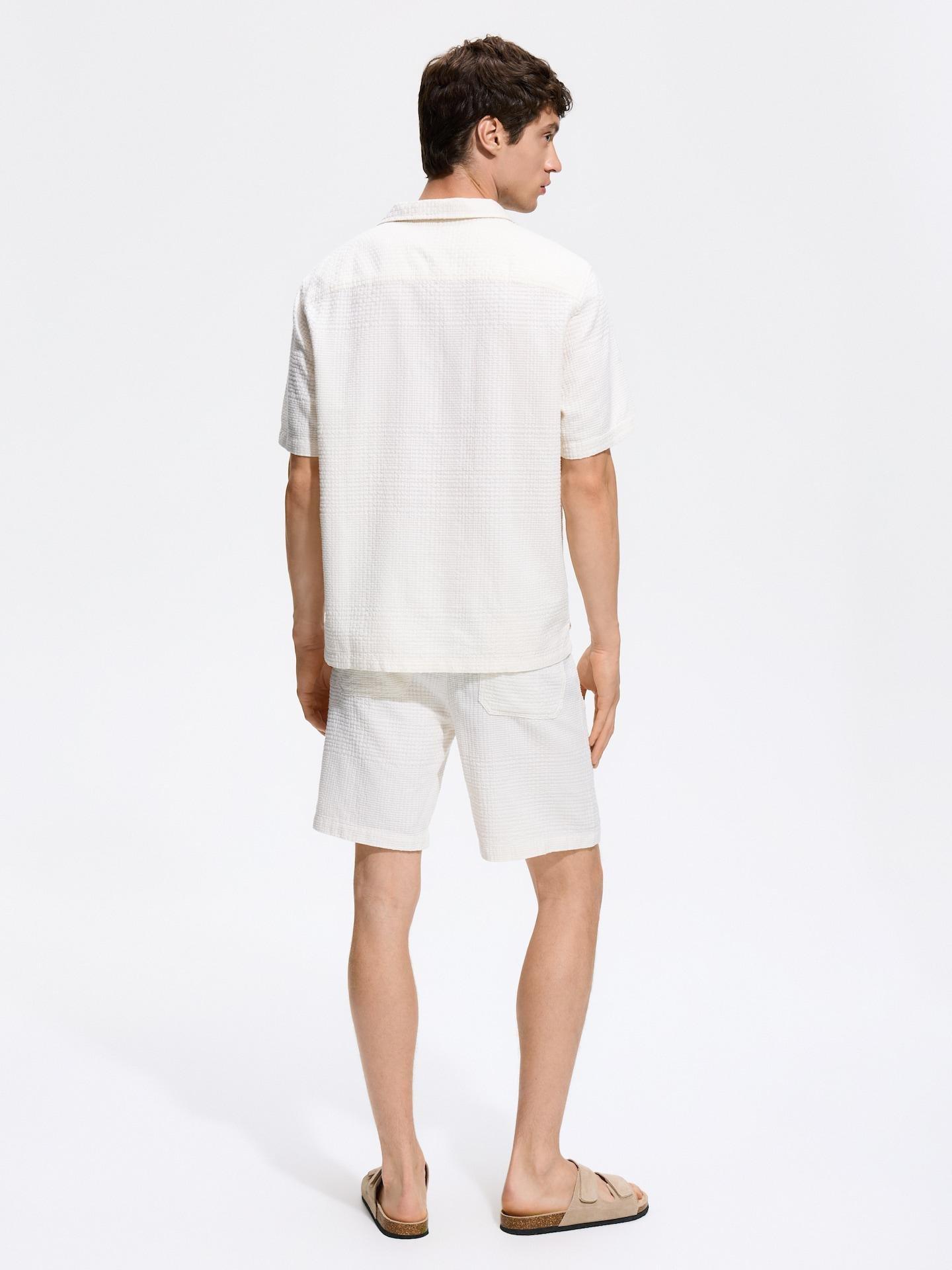Cream Cotton Jogger Shorts, Ivory, large image number 3