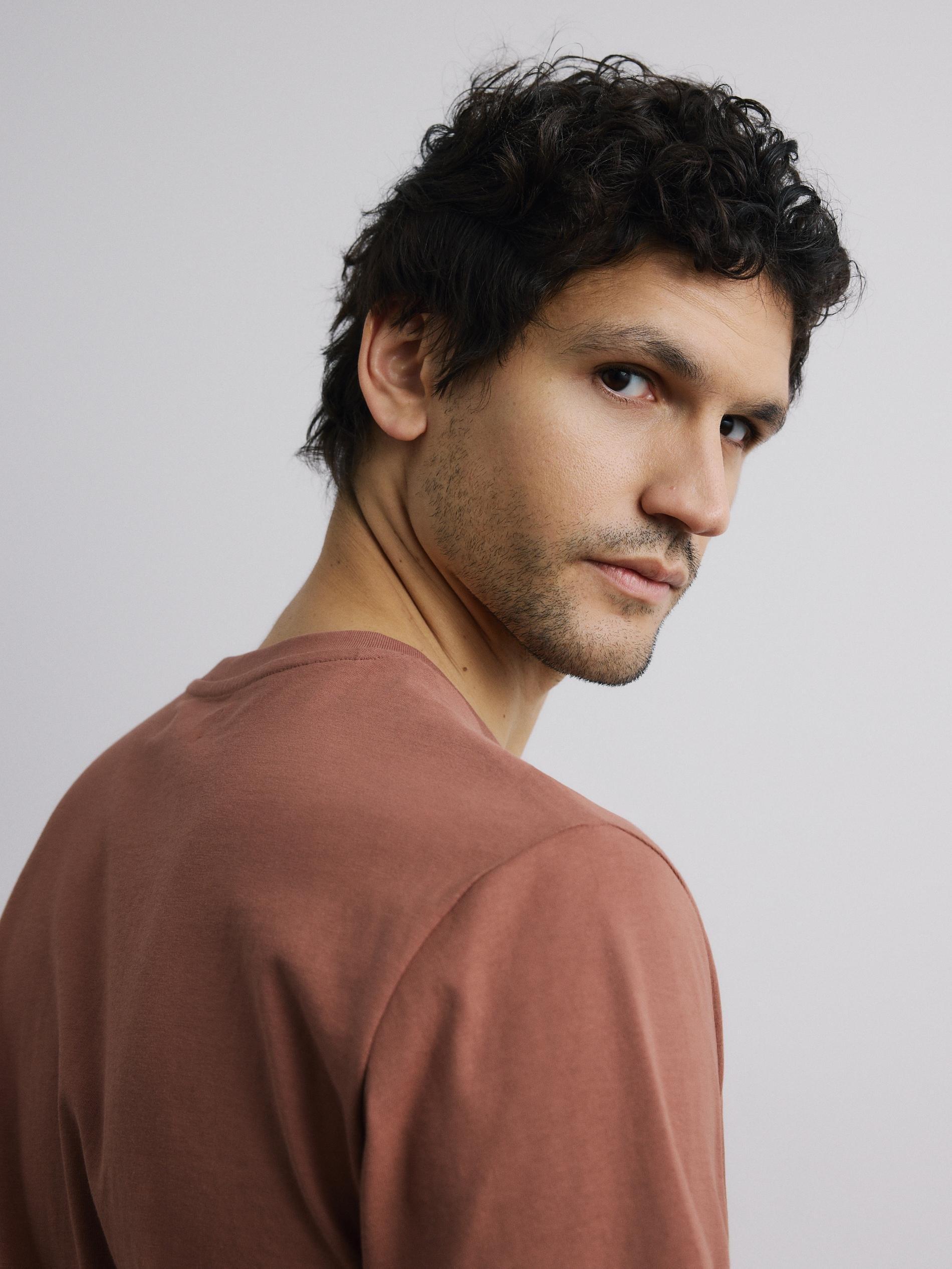 Brown Regular Fit Cotton T-Shirt, Brown, large image number 2