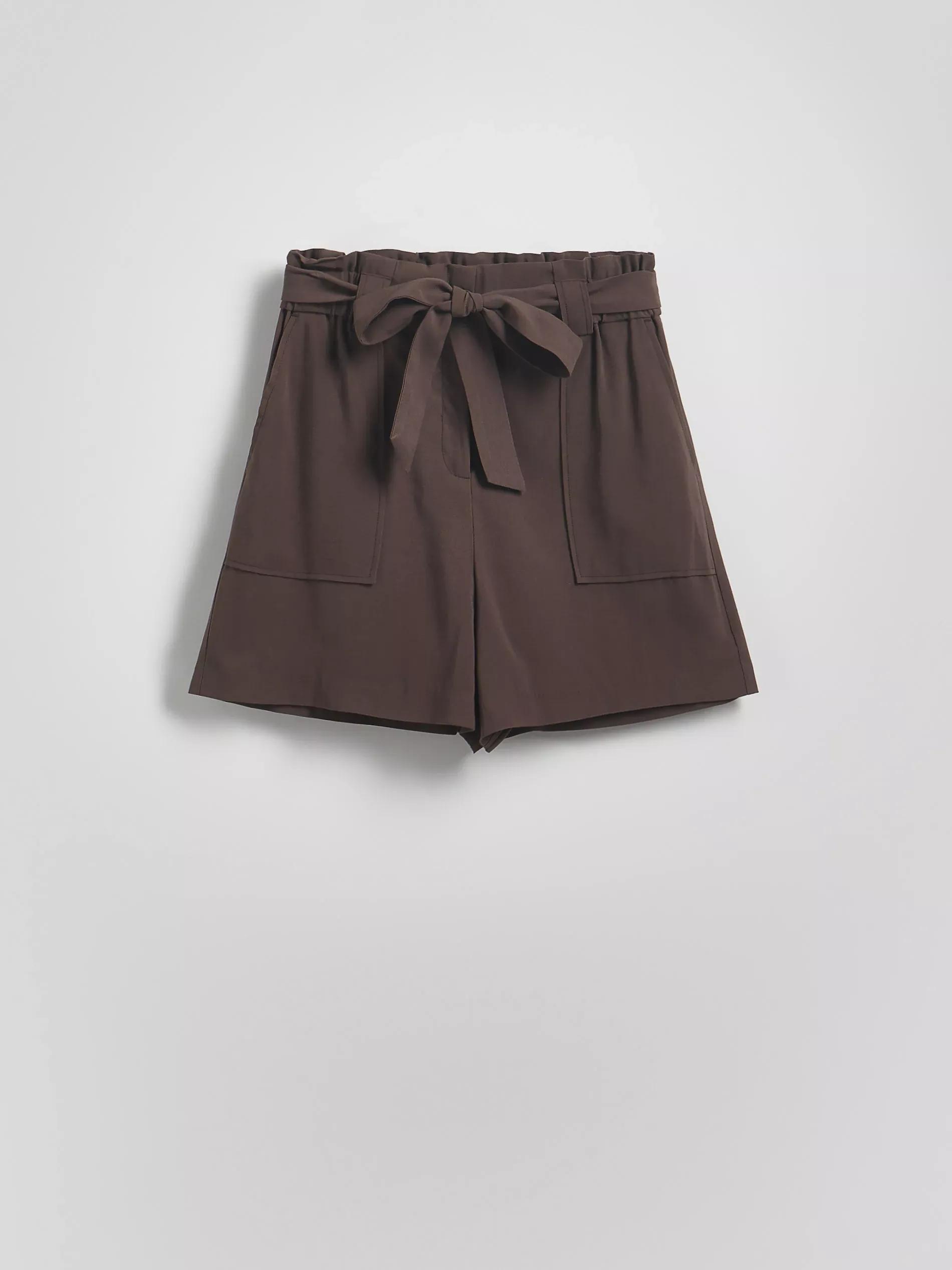 Brown Shorts With Tie, , large image number 4