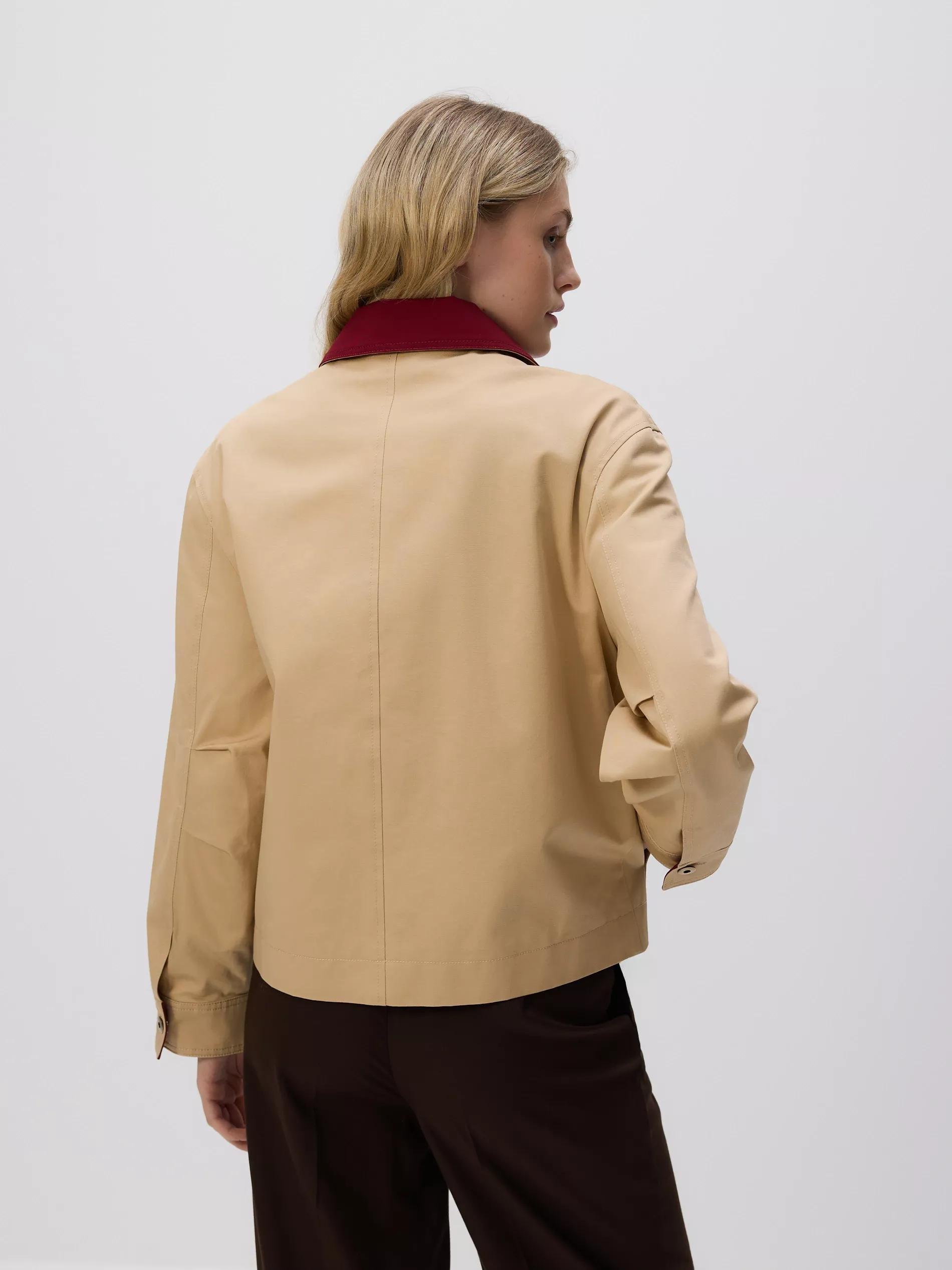 Beige Jacket With Contrasting Collar, Beige, large image number 3