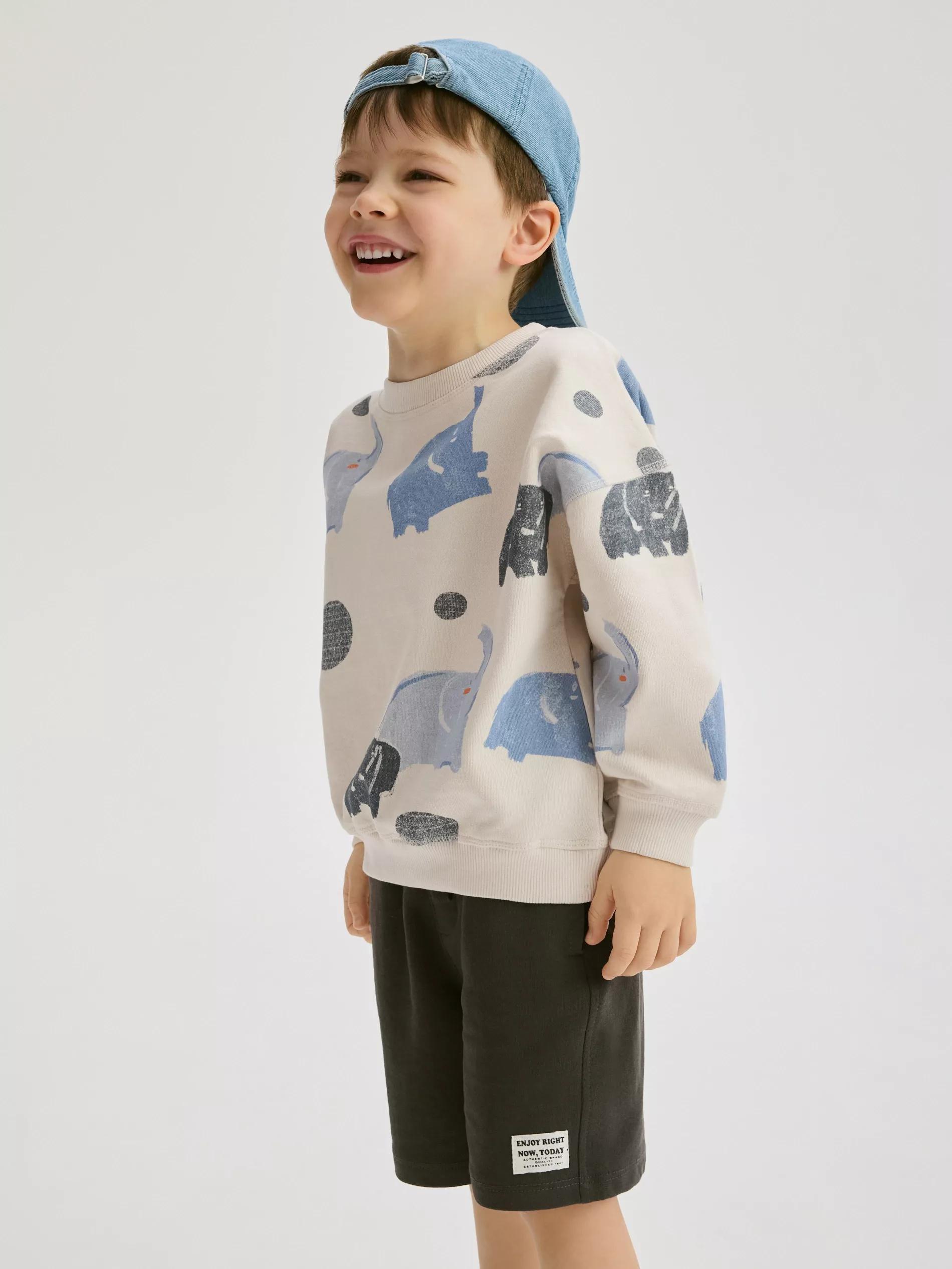 Grey Cotton Shorts, Grey, large image number 3