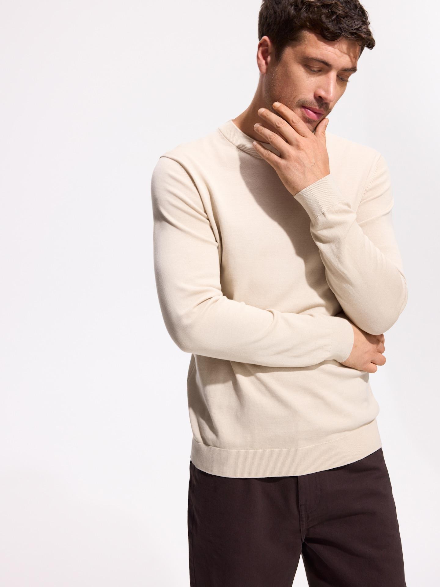 Beige Cotton Jumper, Beige, large image number 0