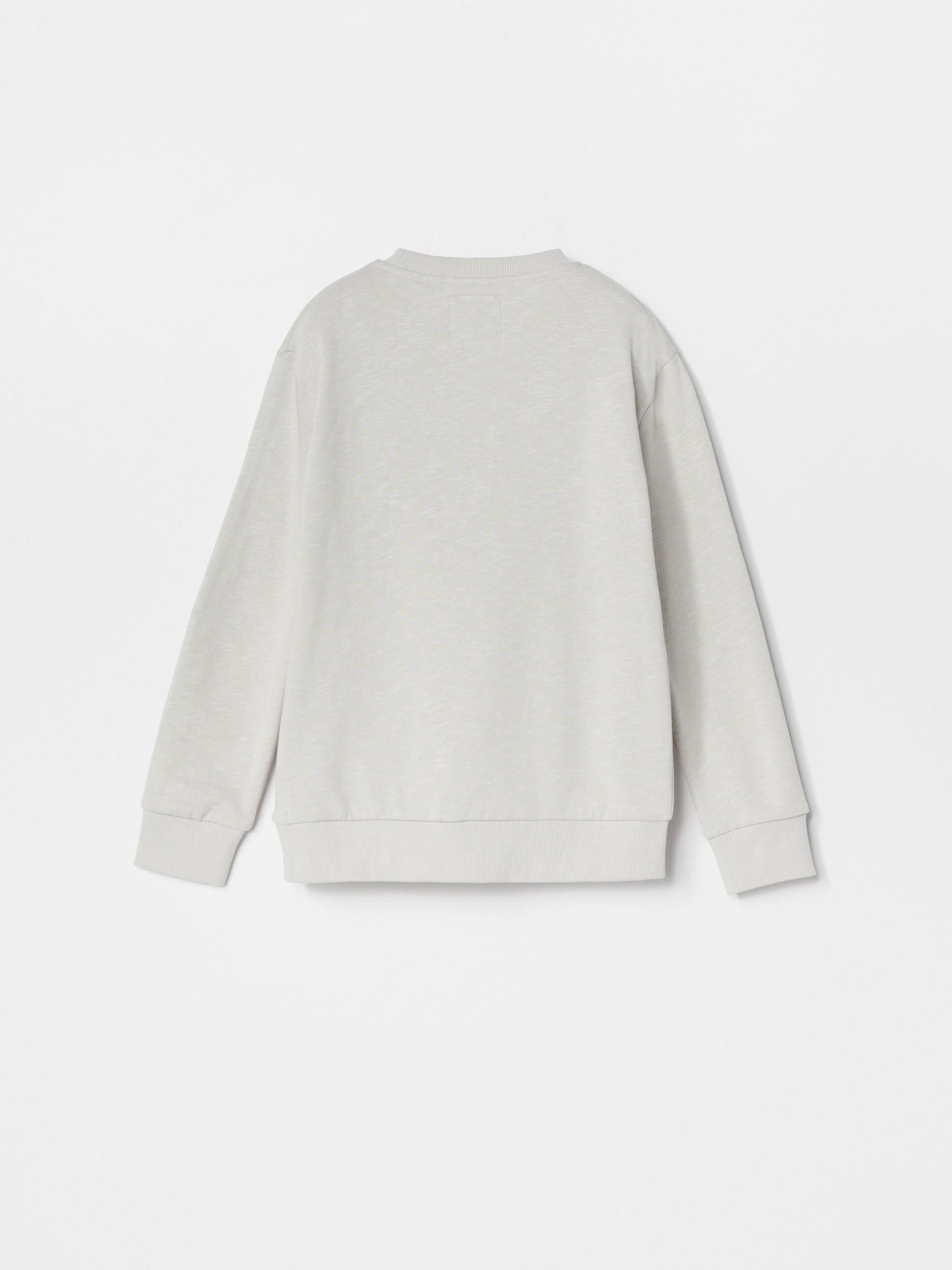 Grey Printed Sweatshirt, Kids Boys, , large image number 3