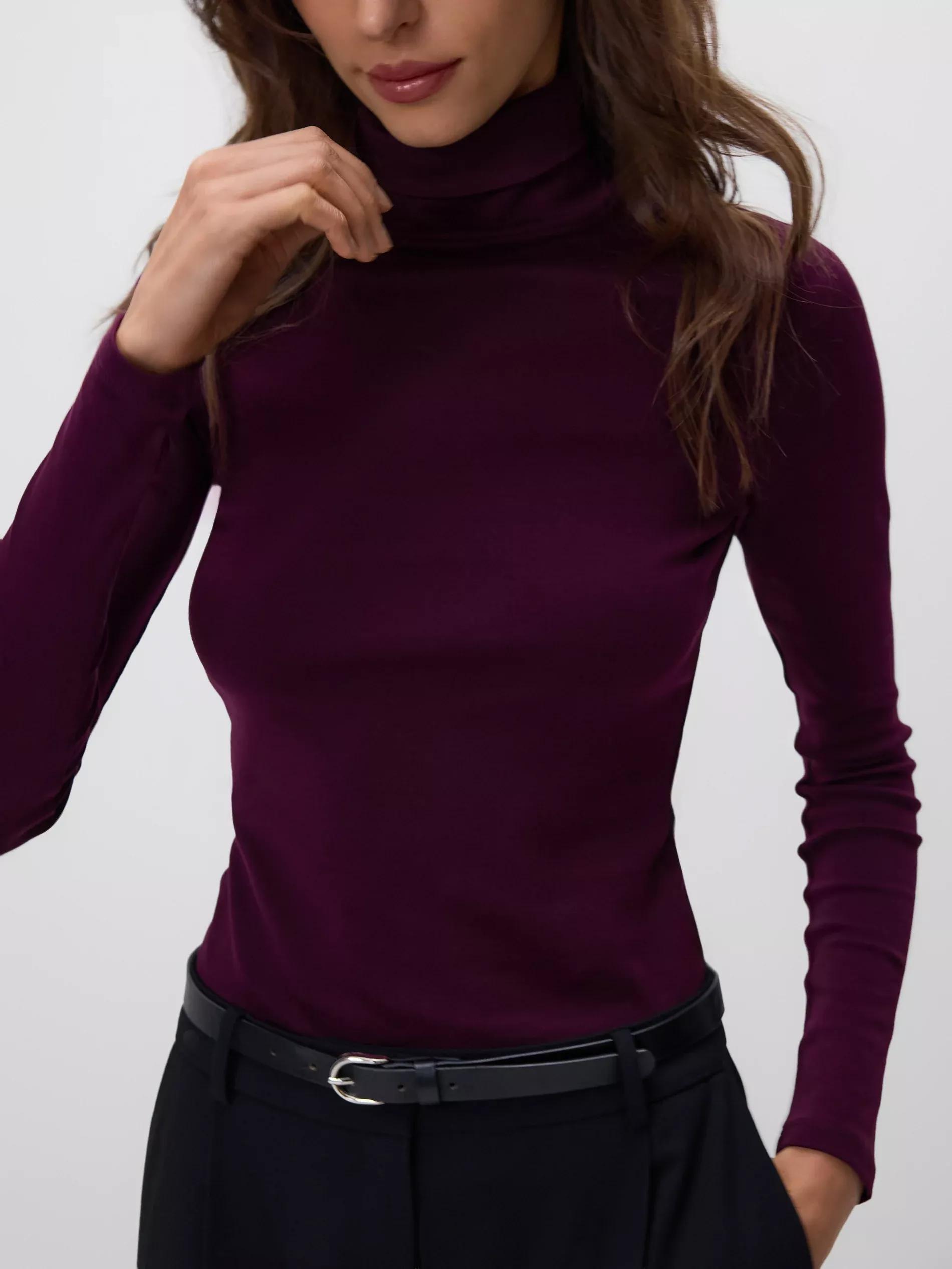 Maroon Cotton Rich Turtleneck, Burgundy, large image number 0