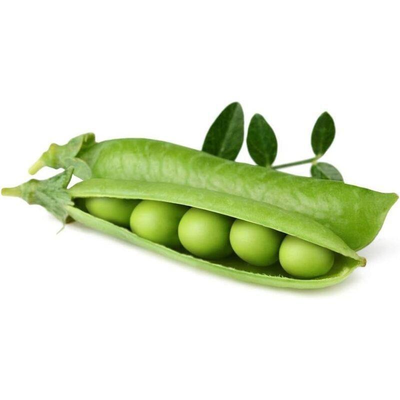 Click & Grow Plant Pod Dwarf Pea (Pack of 3), , large image number 1