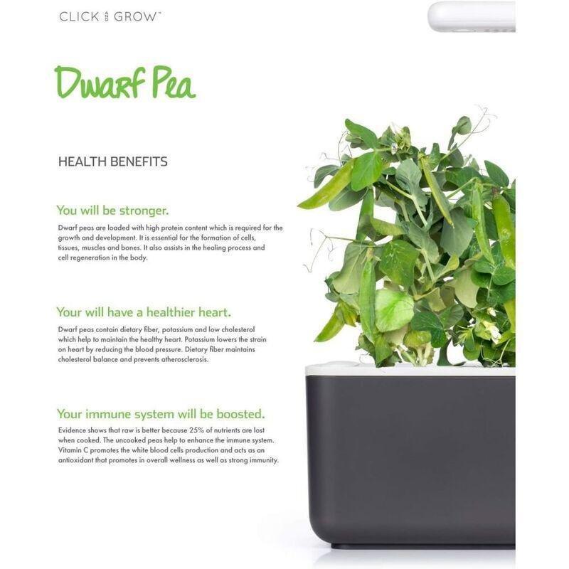 Click & Grow Plant Pod Dwarf Pea (Pack of 3), , large image number 2