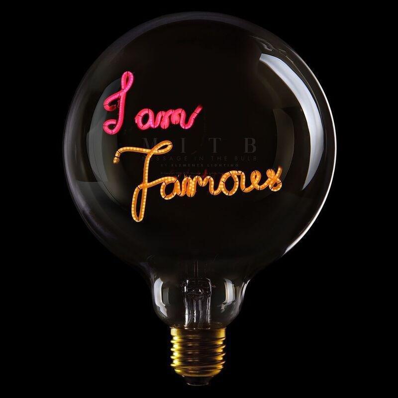 Message in the Bulb 904101Rax I Am Famous LED Light Bulb (6 Volt) - Clear Glass - Red & Amber Light, , large image number 0
