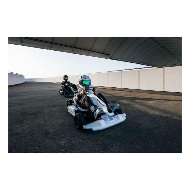 Segway Gokart Pro2, , large image number 2