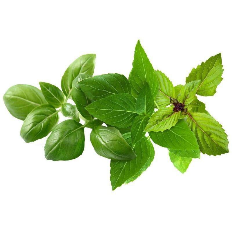 Click & Grow Plant Pod Basil Variety Mix (Pack of 9), , medium