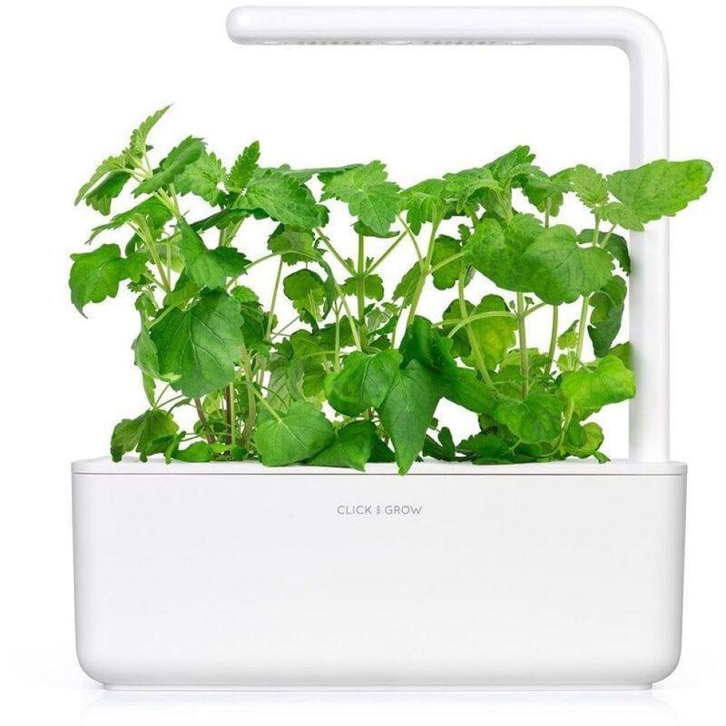 Click & Grow Plant Pod Catnip (Pack of 3), , large image number 1