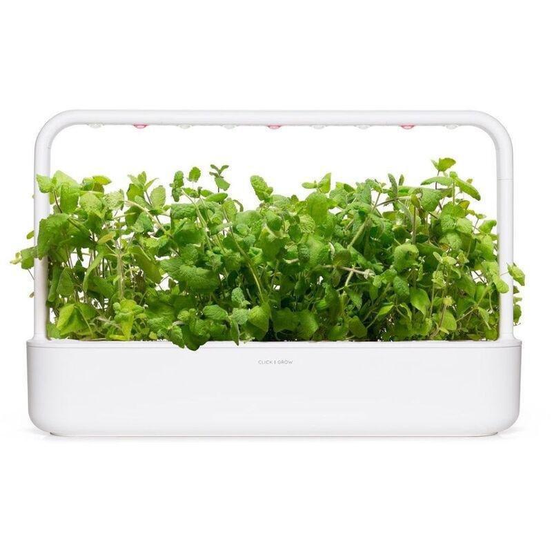 Click & Grow Apple Mint Plant Pod (Pack of 3), , large image number 2