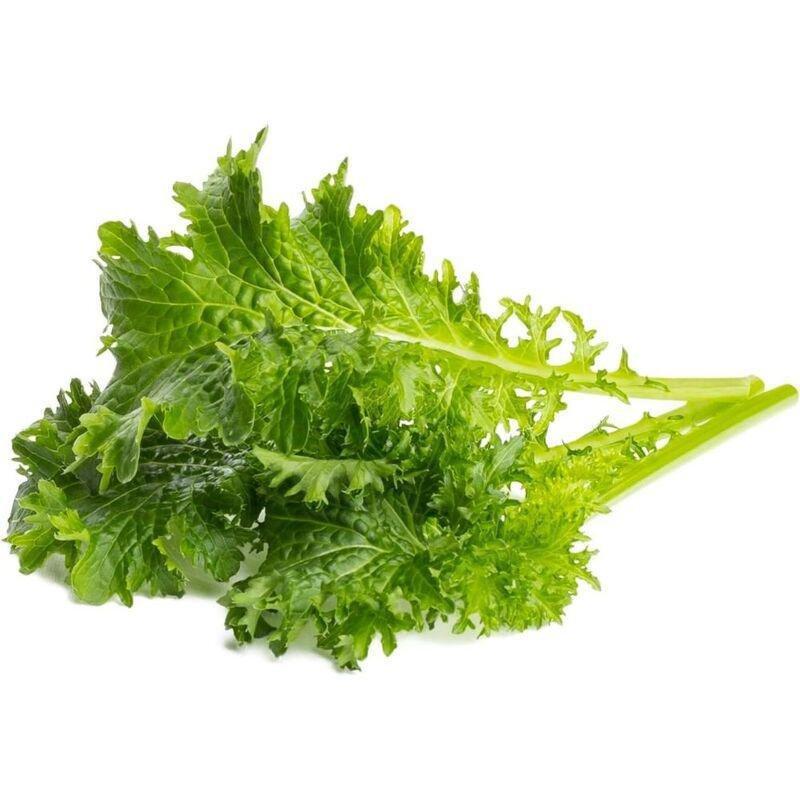 Click & Grow Wasabi Mustard Plant Pod (Pack of 3), , medium