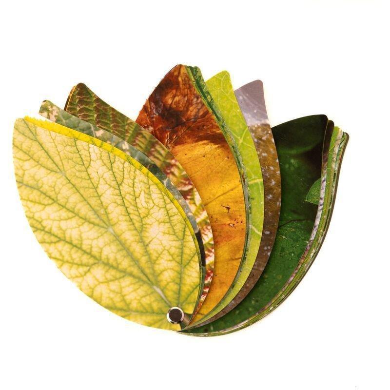 Kikkerland Plant Health Handbook, , large image number 3