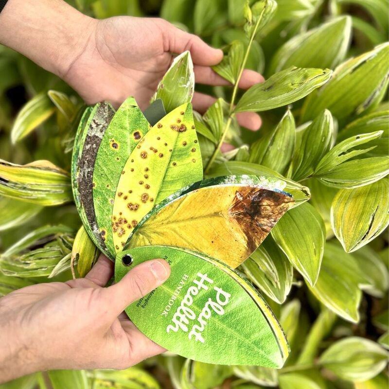 Kikkerland Plant Health Handbook, , large image number 5