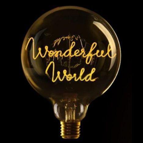 Message in the Bulb - Wonderful World - 2200K LED Light Bulb (6 Volt), , medium