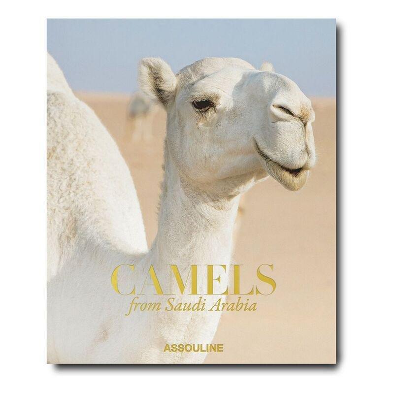 Camels From Saudi Arabia (Classic) | Ghada AlMuhanna Abalkhail, , medium