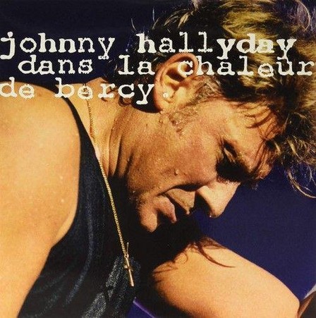 UNIVERSAL MUSIC - Dans La Chaleur De Bercy (2 Discs) | Johnny Hallyday