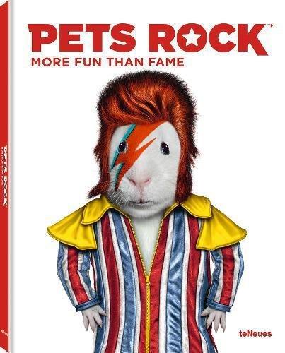 Pets Rock More Fun Than Fame | Takkoda, , large image number 0