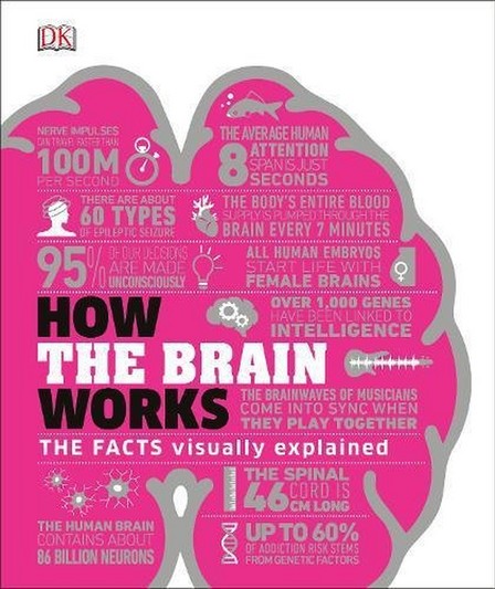 DORLING KINDERSLEY UK - How The Brain Works The Facts Visually Explained | Dorling Kindersley