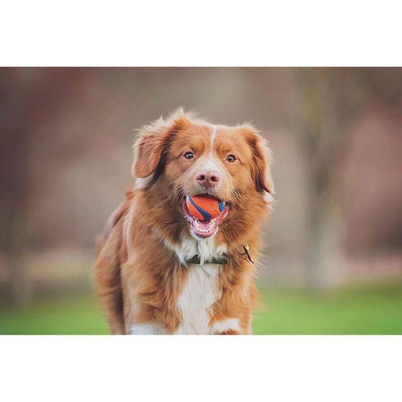 Chuckit! Dog Toy Fetch Medley Gen 3 - Medium (3 Pack), , medium