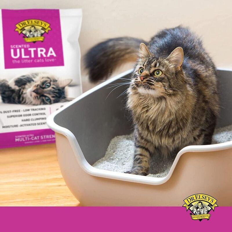 Dr elsey outlet ultra cat litter