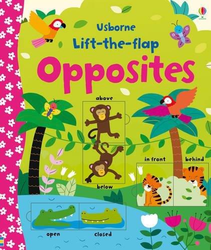 Lift-The-Flap Opposites | Usbourne, , large image number 0