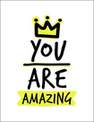 SUMMERSDALE PUBLISHERS - You are Amazing | Various Authors