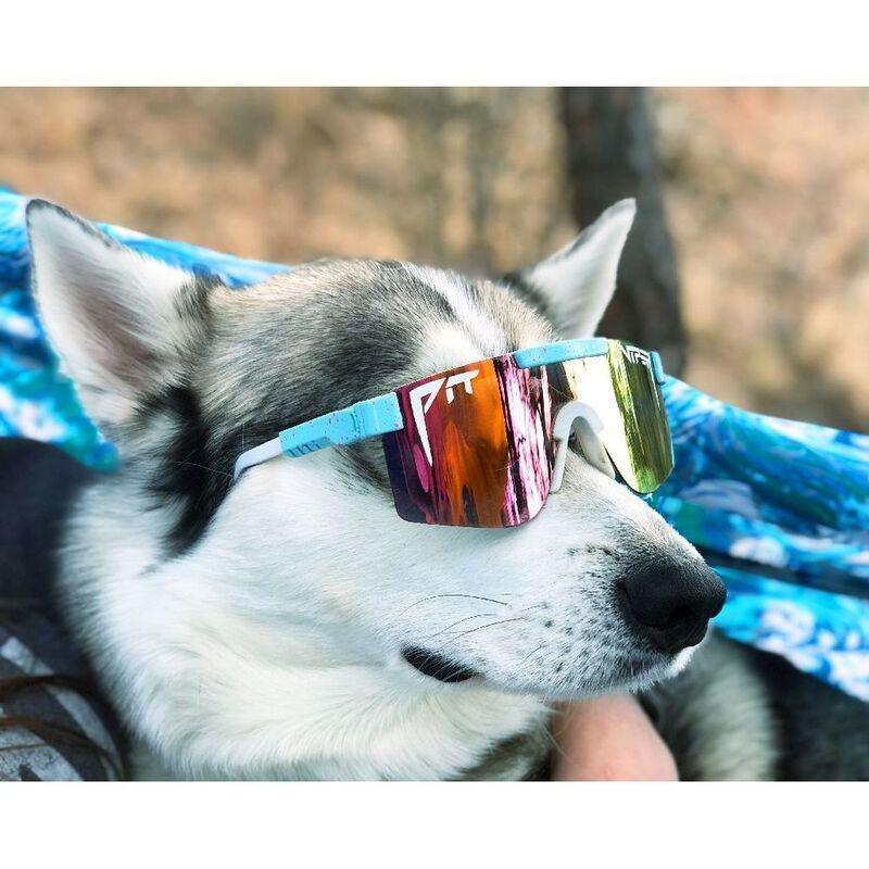 Pit Viper Originals The Gobby Polarized Sunglasses, , large image number 4