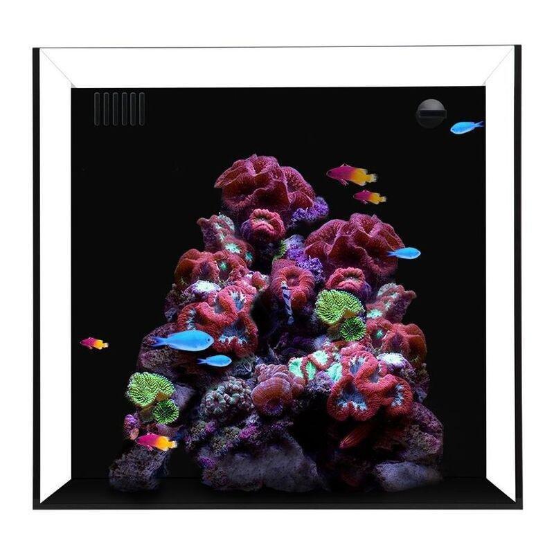 Waterbox Cube 10 + with Pump L 35 x W 36 x H 35 cm, , large image number 0