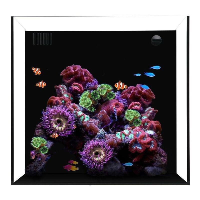 Waterbox Cube 20+ with Pump L 45 x W 45 x H 40 cm, , large image number 0
