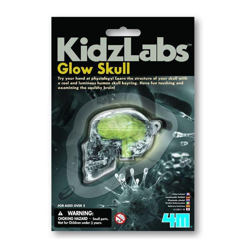 4M Kidzlabs Glow Skull, , large image number 0