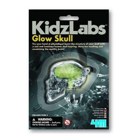 4M INDUSTRIAL LTD - 4M Kidzlabs Glow Skull