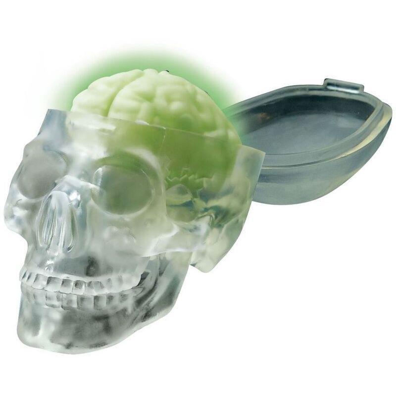 4M Kidzlabs Glow Skull, , large image number 1