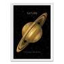 WALL EDITIONS - Saturn Art Poster by Terry Fan (30 x 40 cm)