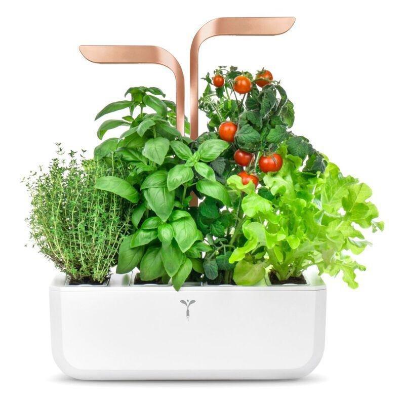 Veritable Smart White Copper, , medium