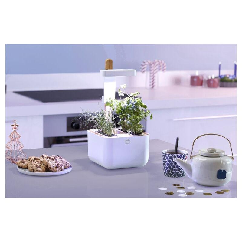 Veritable Botaneo® Indoor Garden White, , large image number 3