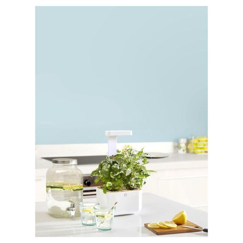Veritable Botaneo® Indoor Garden White, , large image number 4