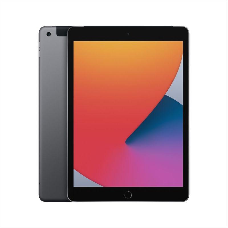 Apple iPad 10.2-Inch Wi-Fi + Cellular 32GB Space Grey (8th Gen) Tablet, , large image number 6