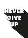 SUMMERSDALE PUBLISHERS - Never Give Up | Various Authors
