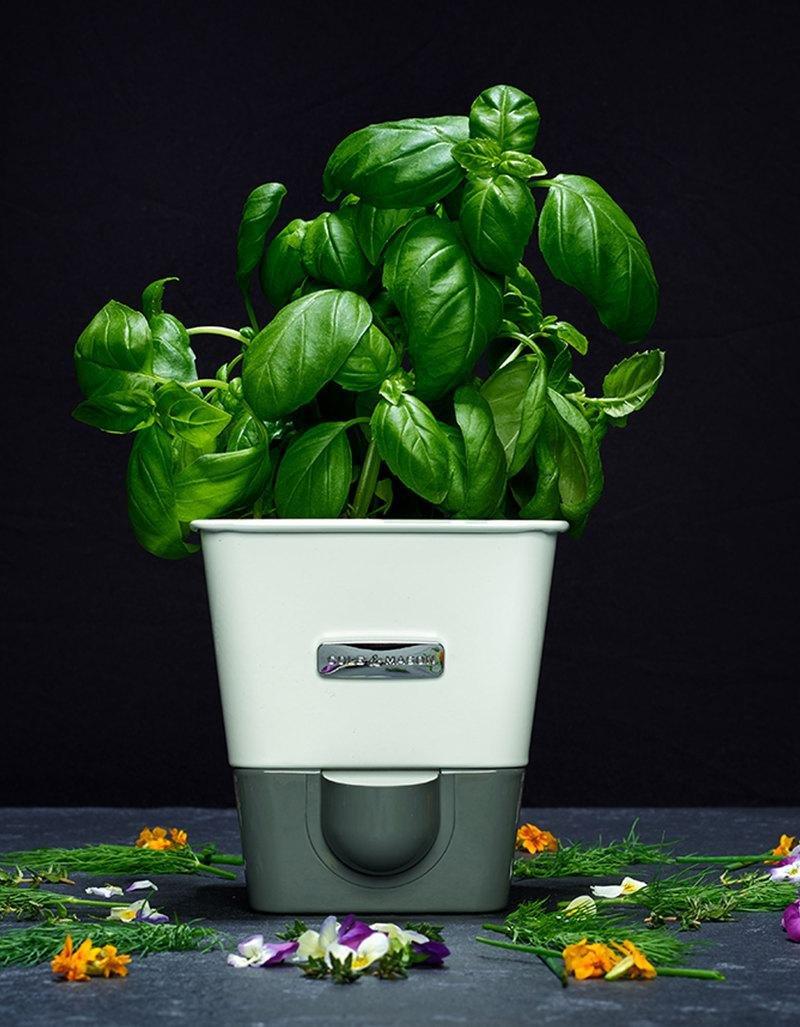 Cole & Mason Self-Watering Herb Keeper, , large image number 1