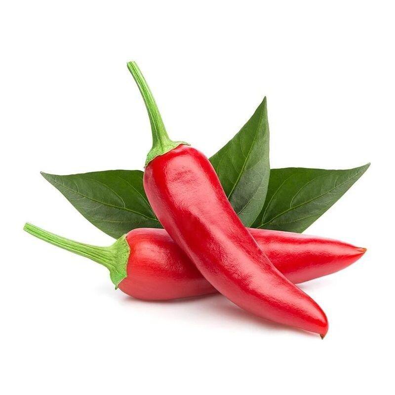Click & Grow Chili Pepper Refill (Pack of 3), , large image number 1