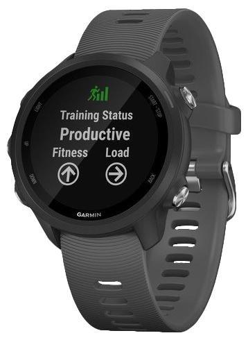 Garmin Forerunner 245 Grey Smartwatch, , large image number 0
