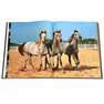 ASSOULINE UK - Arabian Horses | Judith E. Forbis