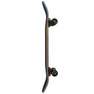 MAUI AND SONS - Maui & Sons Traditional Skateboard Aggro Skater 31-Inch