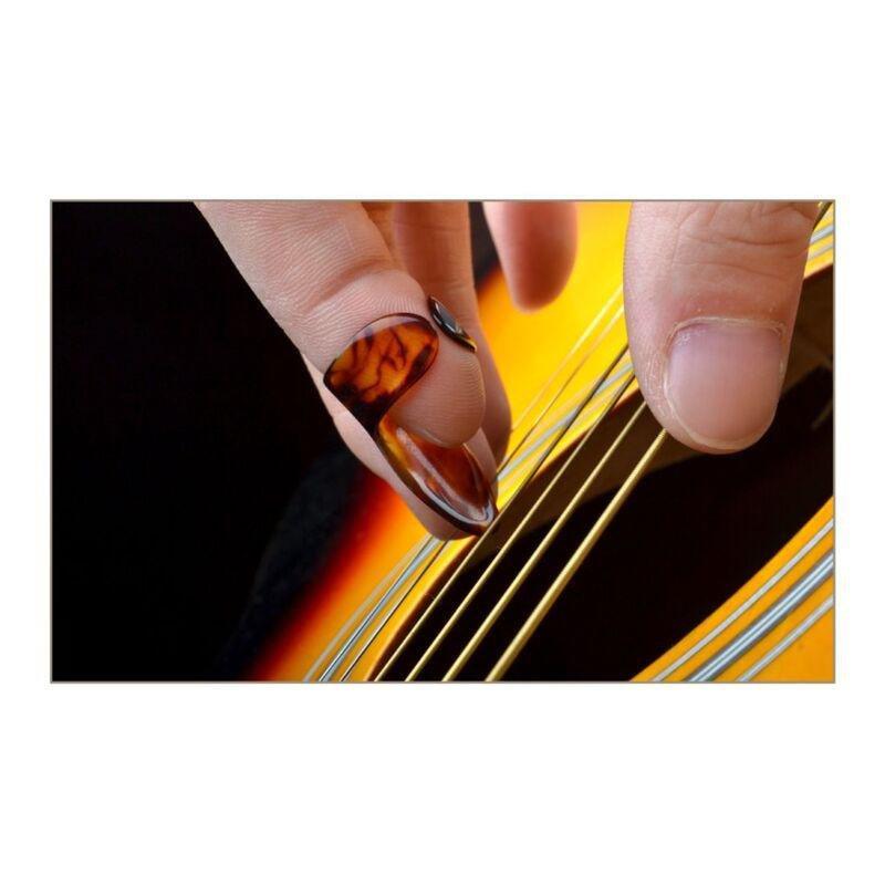 Grape PK-C10 Forefinger Pick - Assorted (Pack Of 4), , large image number 1