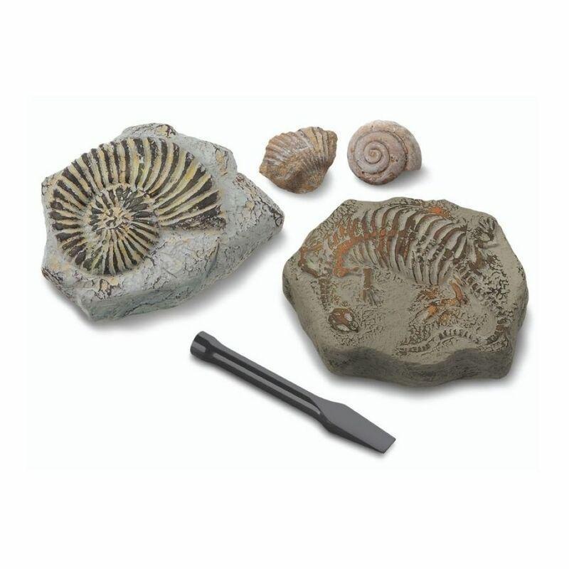 Discovery Mindblown Excavation Kit Mini Fossil, , large image number 0
