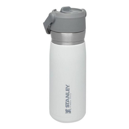 STANLEY - Stanley Go Flip Straw Water Bottle Polar White 650ml/ 22oz